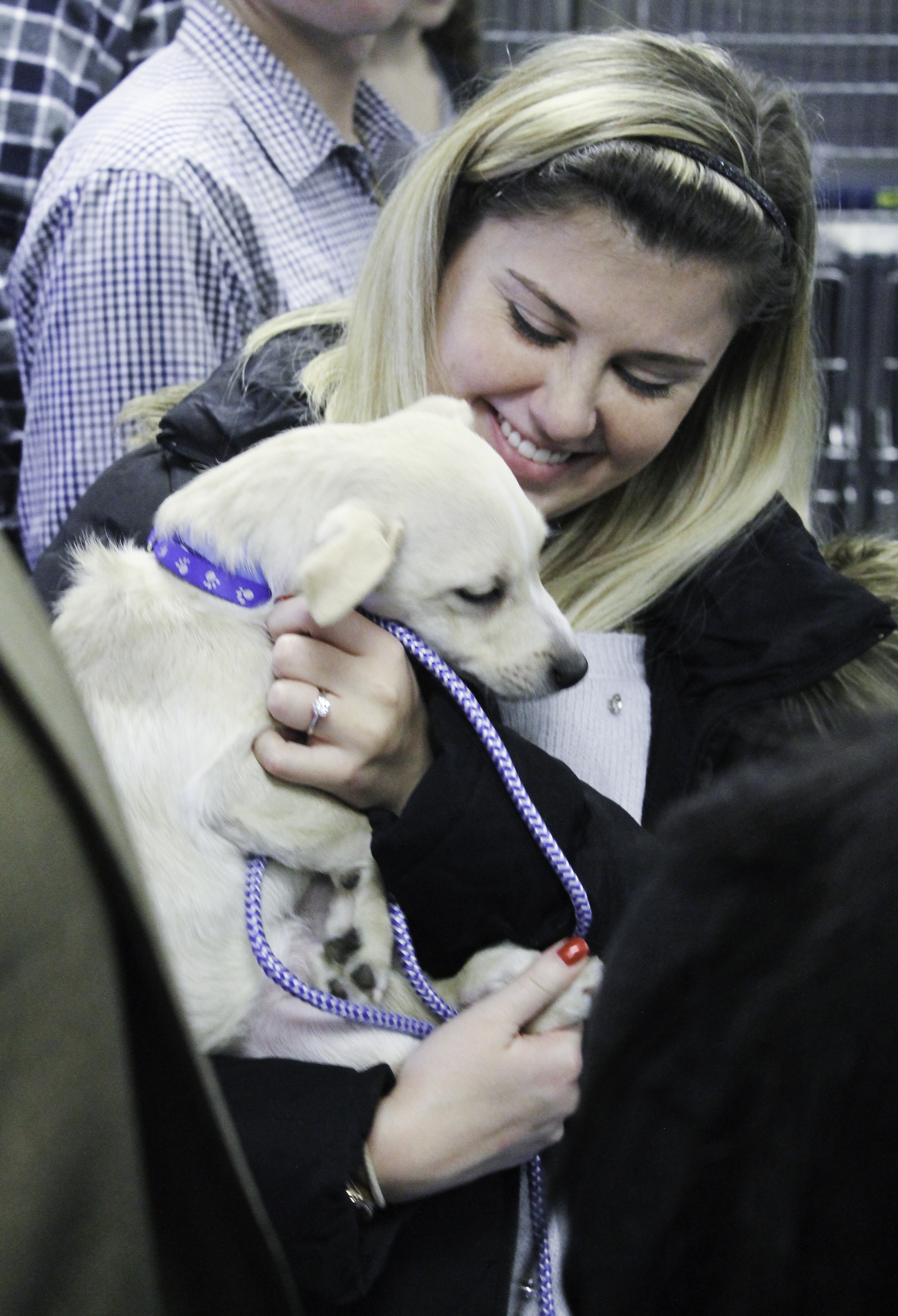 puppy rescue ta high school students support home for rescue mountainside nj news tapinto puppy rescue ta high school students support home for rescue mountainside nj news tapinto