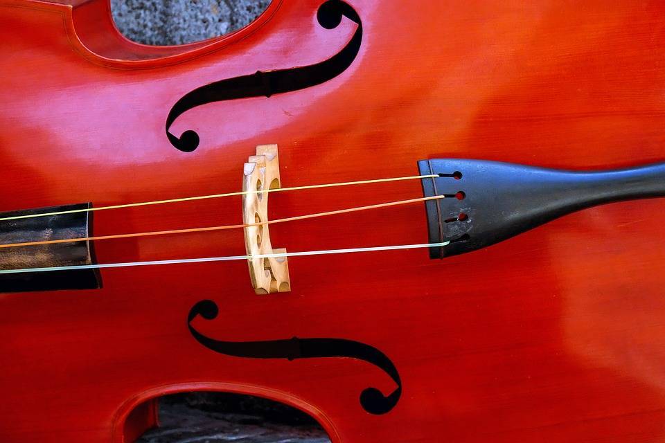 405d08a9350a1150b3a5_violin.jpg