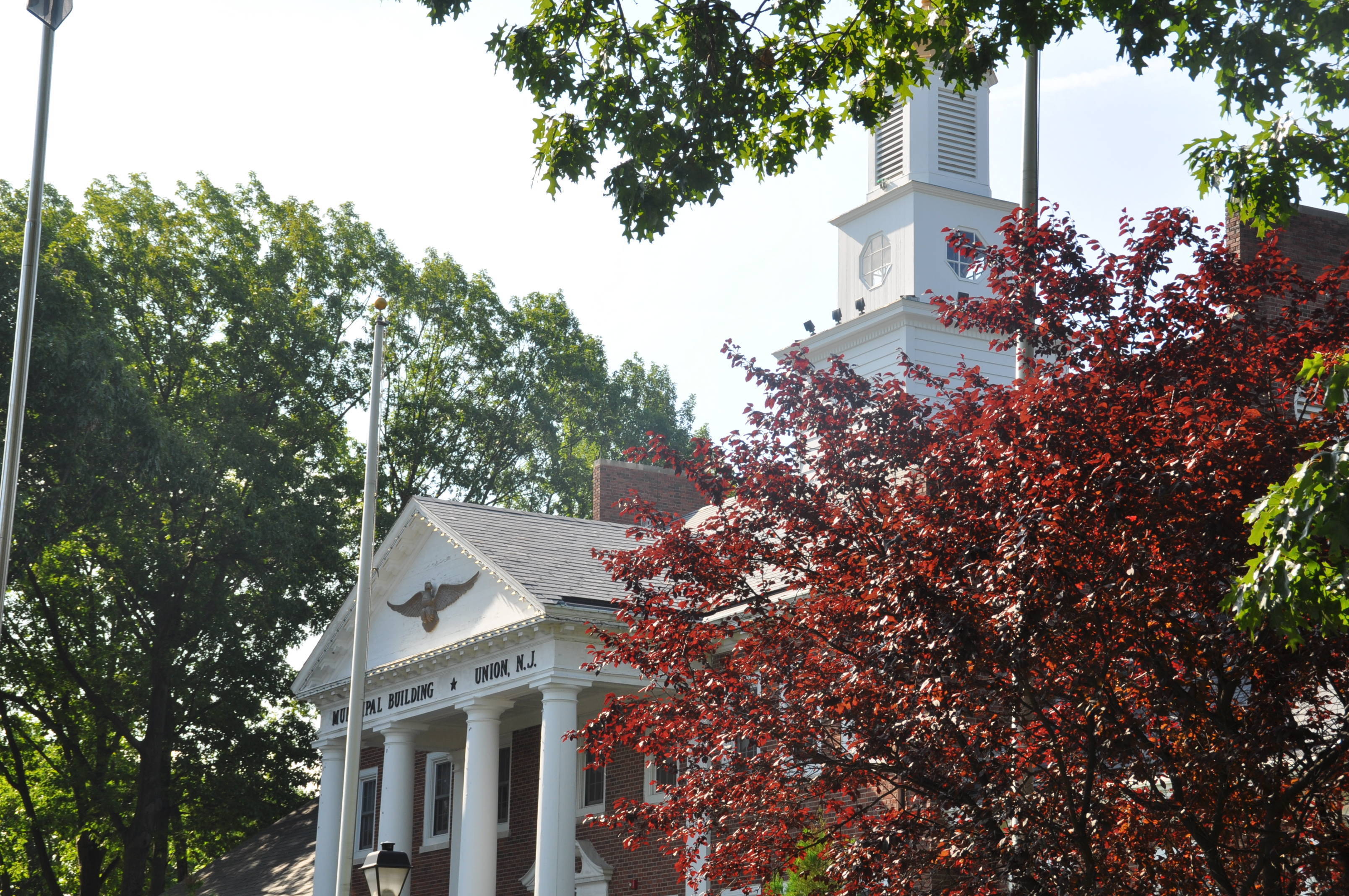 e4bcb982d08d96dd7329_a3c47bbb5788e506f702_town_hall_3.jpg