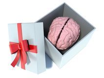 f5198023360e1a2b3d2a_illustration-brain-present-white-gift-box-red-ribbon-42188613.jpg