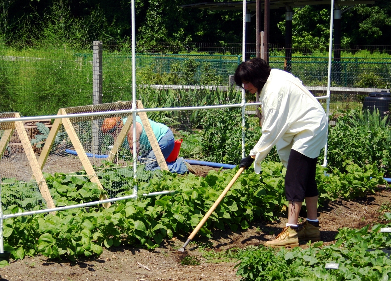 f3973fbfa736ea5479af_Master_Gardeners_Till_the_Soil.jpg