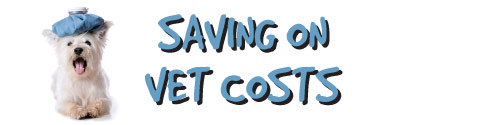 c4e19efc69be96a713f8_e1ad6433ccd8438cce41_March_Vet_Savings_Blog_Image.jpg