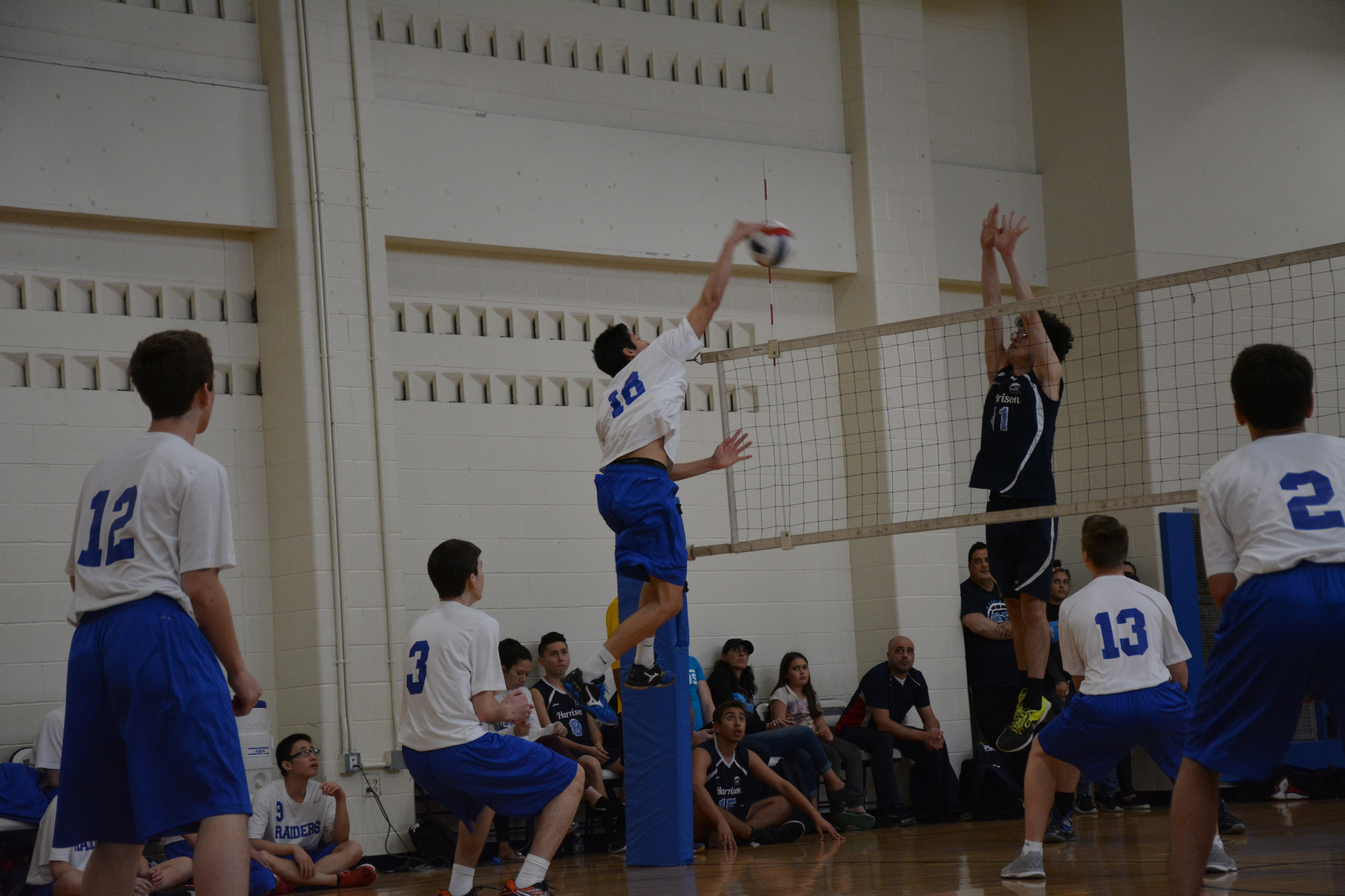 Good volleyball essays