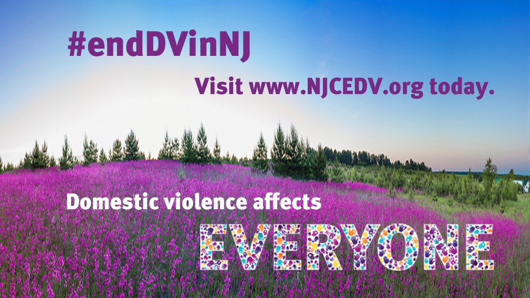 527da67a6bb24d6b91d5_googleplus_njcedv_dvam_cover_final.jpg