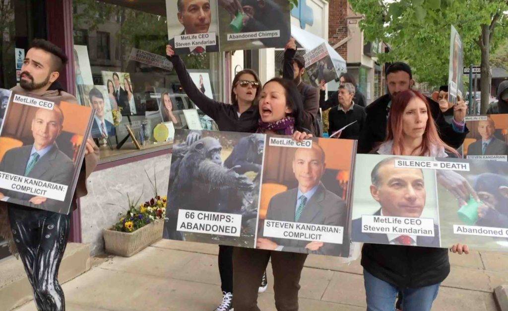 34be35b8485547270b6b_dbd29718575c01100893_Summit_Protest_1.jpg