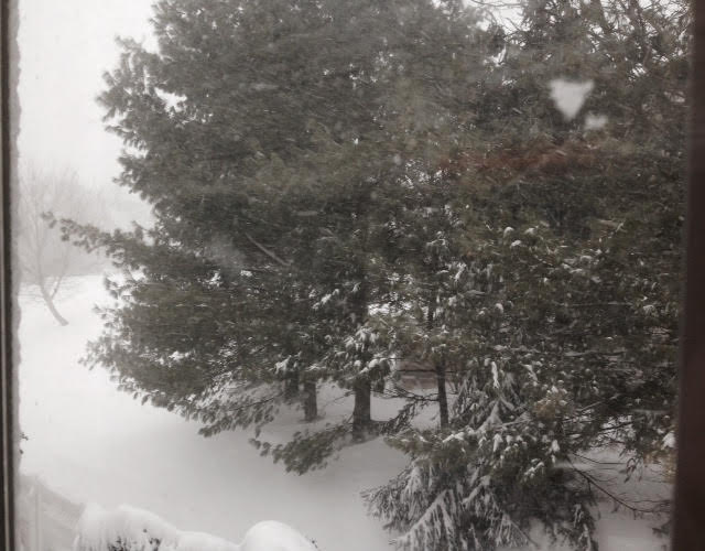 06db08bdc0ff28b435c0_SNOWHills930am12316.jpg