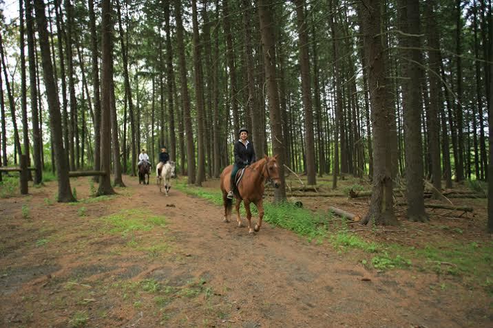 61e8271ad991523d4e7b_LORDStirlingTrails.jpg