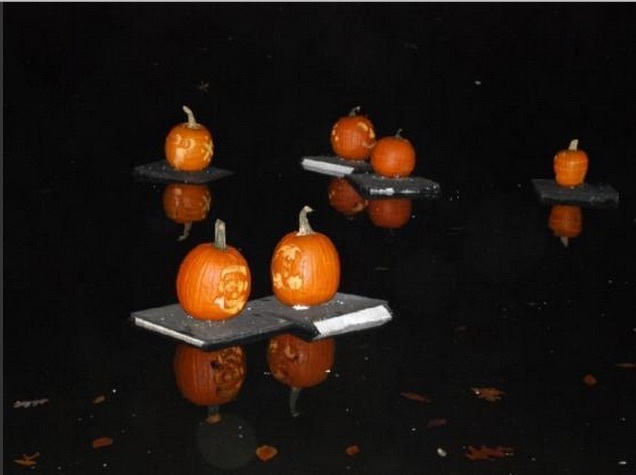 d896d50f4beac90d3664_great_pumpkin_sail.jpg