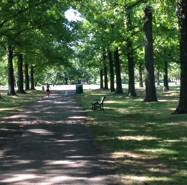 e292309edbfc888da59b_Fitness_paths_and_trails_1__Paved_Path_.jpg