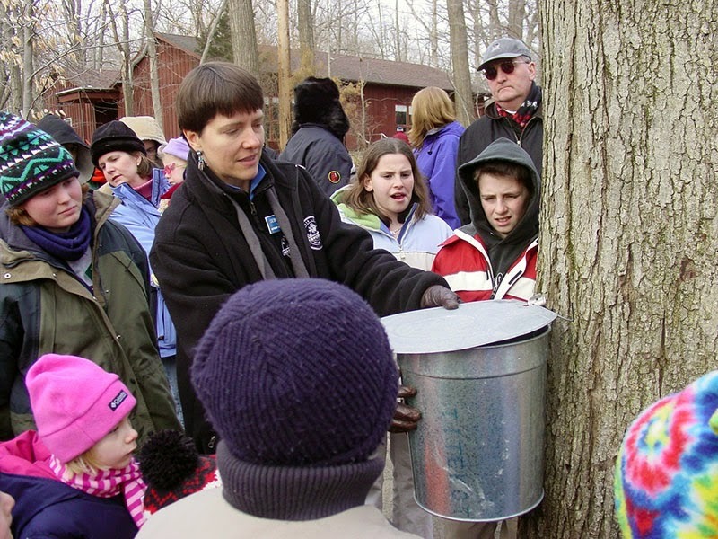ea8e6a357661d9710362_maple_sugar.jpg