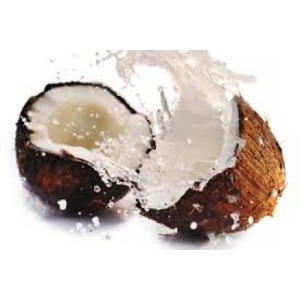 a7356dd3ea1b07234bb2_coconut-300x2002.png