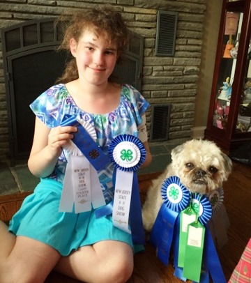373228b525ea32e8ea1a_4-H_Dog_Club_2015_show.png