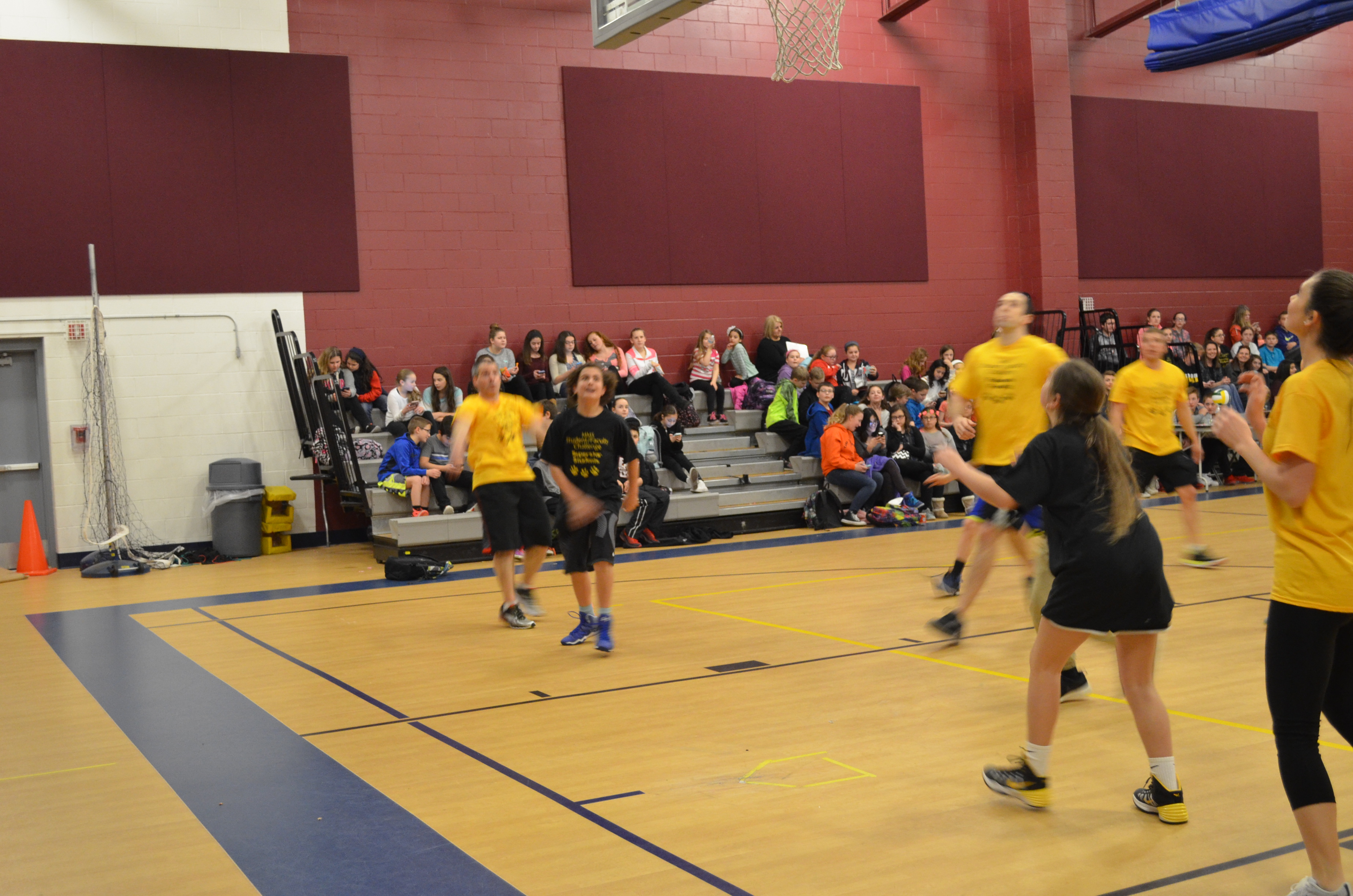 Cedargrove k12 nj picture