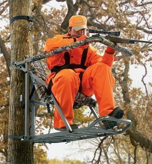 95a8d92b43c63bf49a5a_best_d35fe8f9830cc5402f10_treehunt.jpg