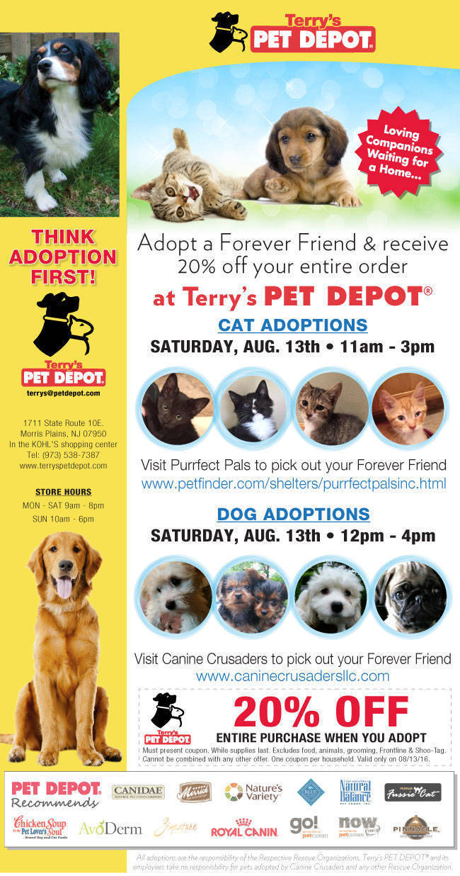 puppy adoption ta pet adoption tapinto puppy adoption ta pet adoption tapinto