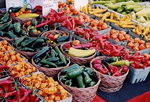 5123ac4fbca38587f689_farmers-market-photo.jpg