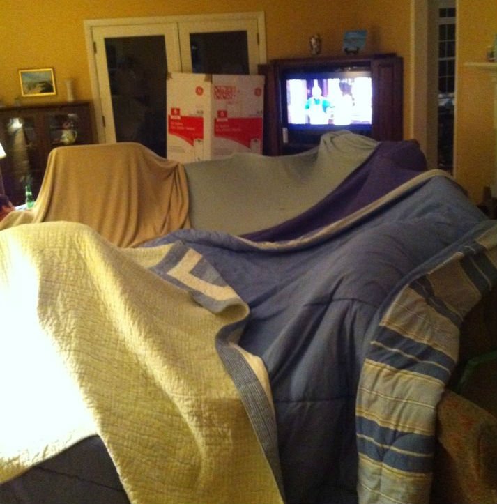 64becd1b11514b10e1db_blanket_fort.jpg