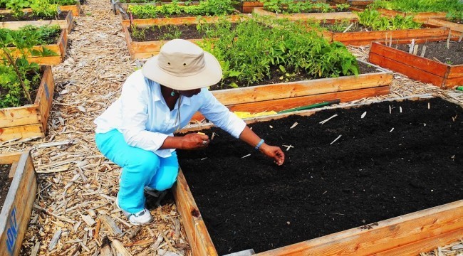 5d8c8497f5d961bfa9f3_GNC_Gardening2-650x360.jpg