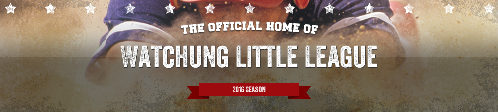 818c8c23bebdbdcb5eee_little_league.jpg