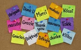 3ac67ec33cb1b870a73e_thankyou.jpg