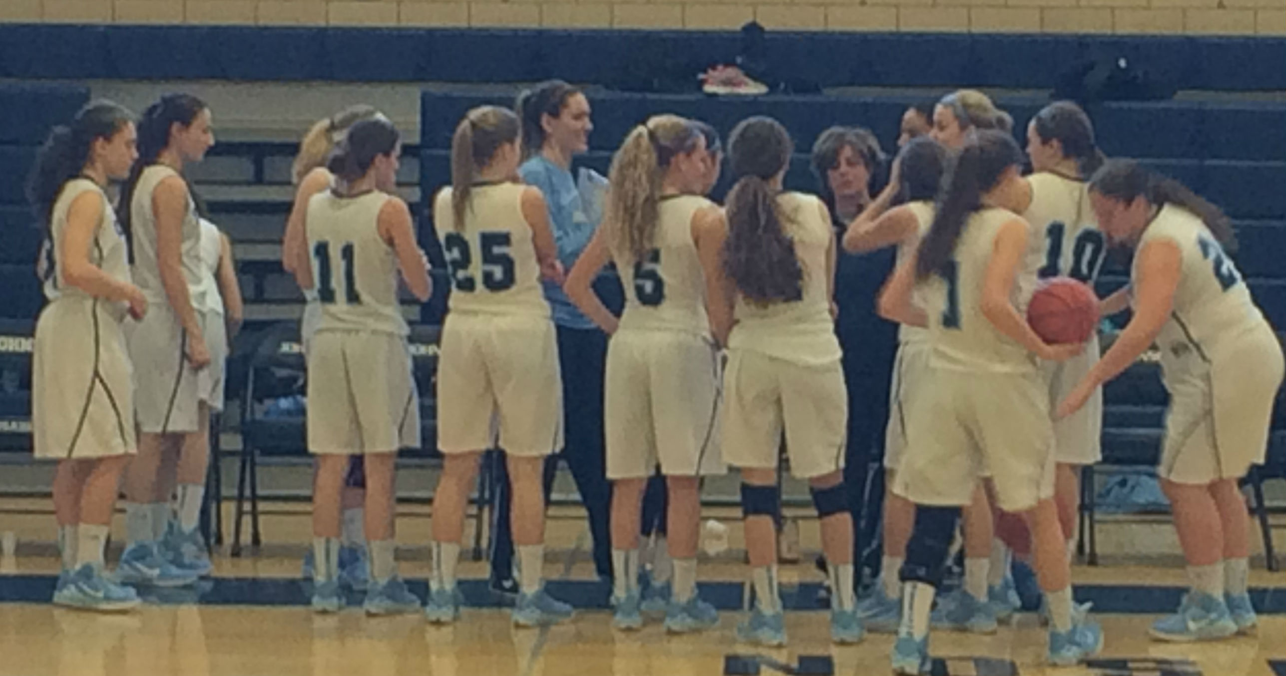 74f9c99137fd785edc0f_bball.jpg