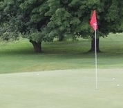 54b32b333c8afb4bdd8e_redfern_gold_outing.jpg
