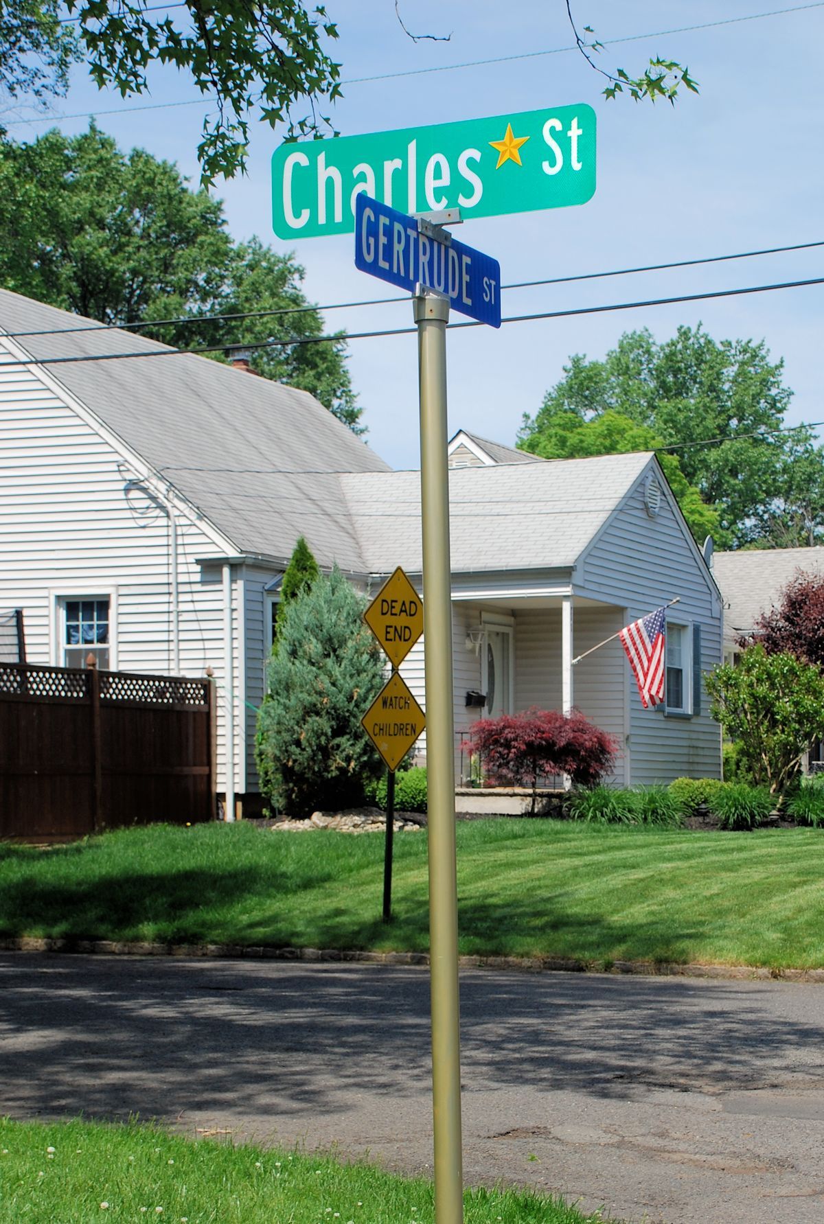 45c6c39300251bd8ec80_Gollas_Bitsko_Family3_street.jpg