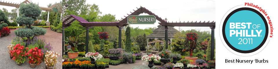 f961ff59e535798501f5_Rhodes_Nursery.jpg