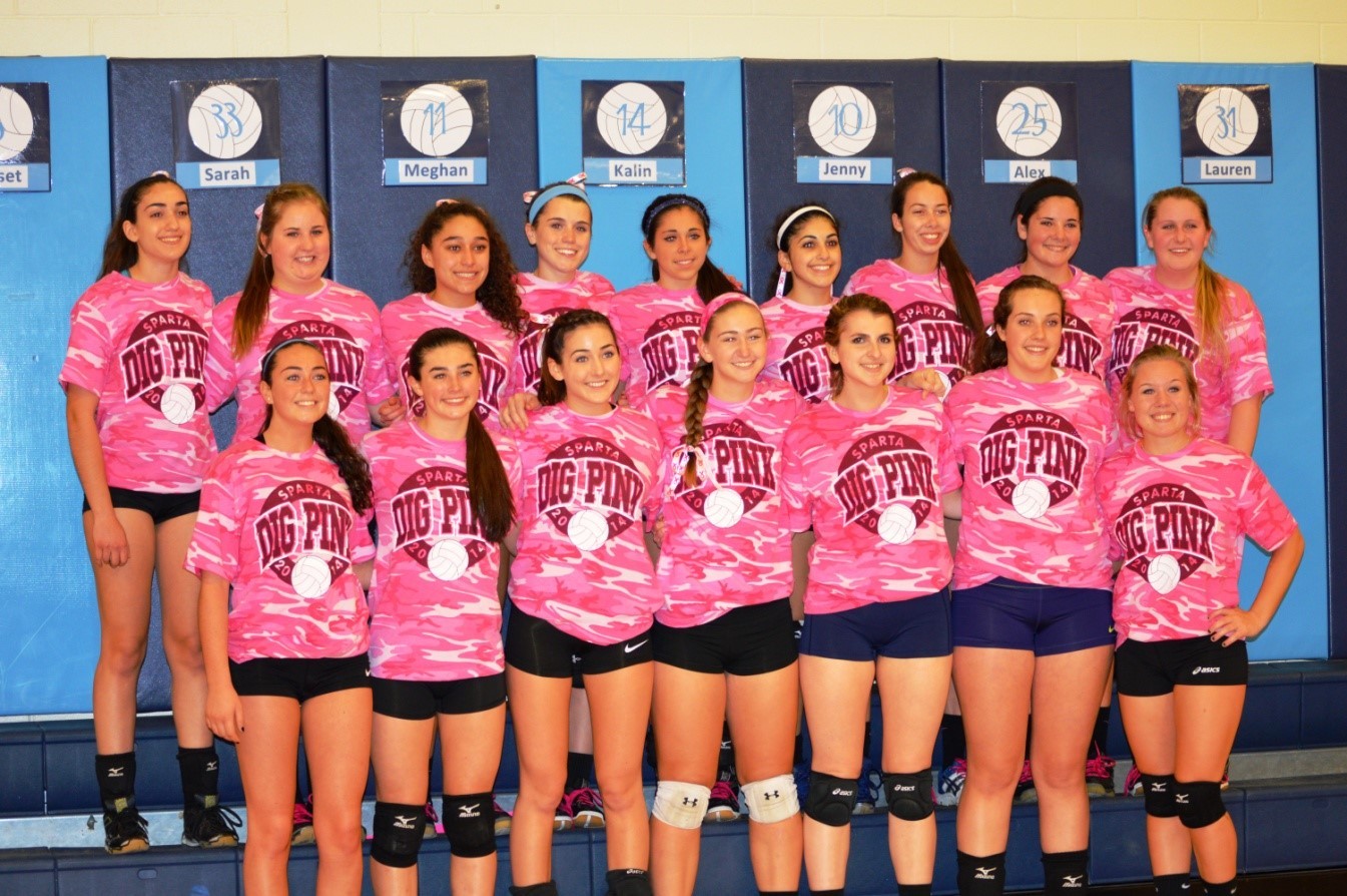 ab139ffdd377d4b88f6f_DigPink.jpg
