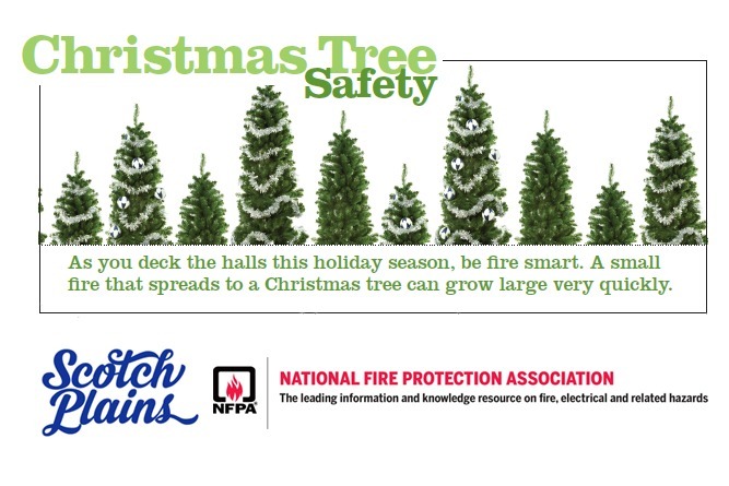 7dd9e5338a384a4a1b1d_xmastreetips.jpg