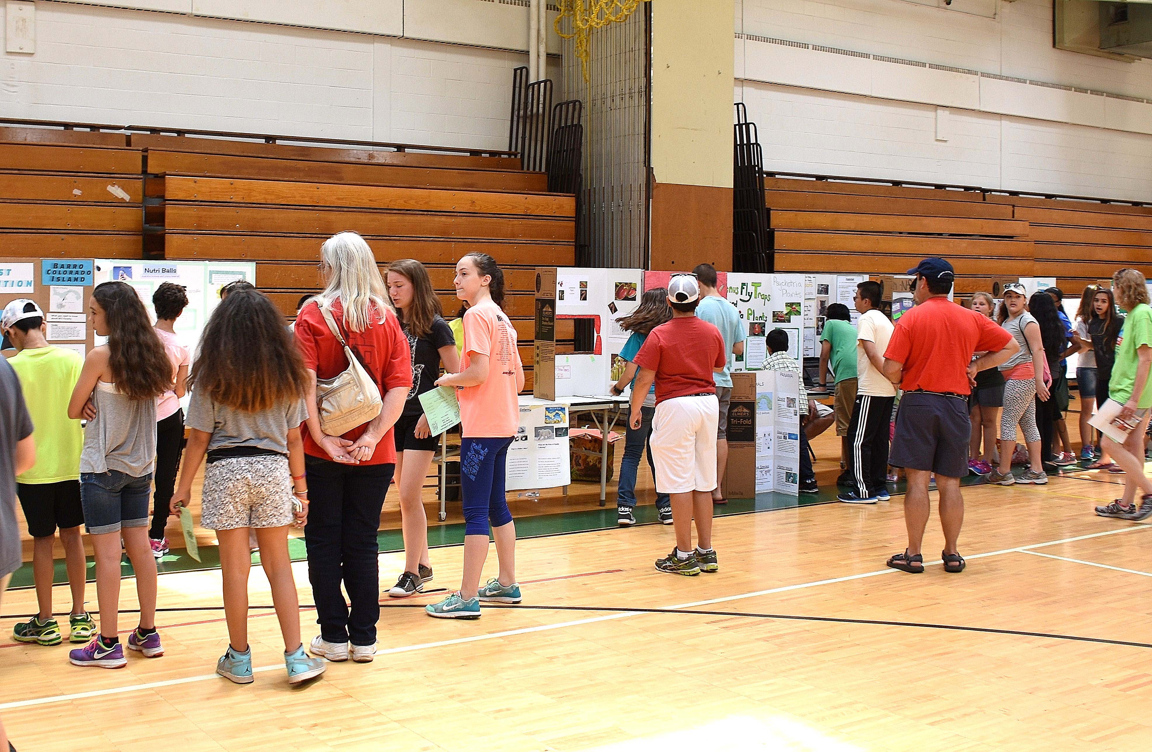 Hillside School in Bridgewater Hosts Annual Forest Fest TAPinto