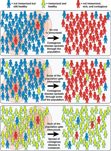 8fc0d481a36d10539cd4_FLU_INFOGRAPHIC_COURTESY_OF_NIAID.jpg