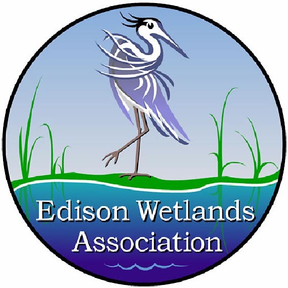 c71df2c90775d579ab8f_Logo_BlueHeron_lg.jpg