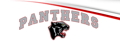 bbb5c914f164c24ef481_panther1.jpg