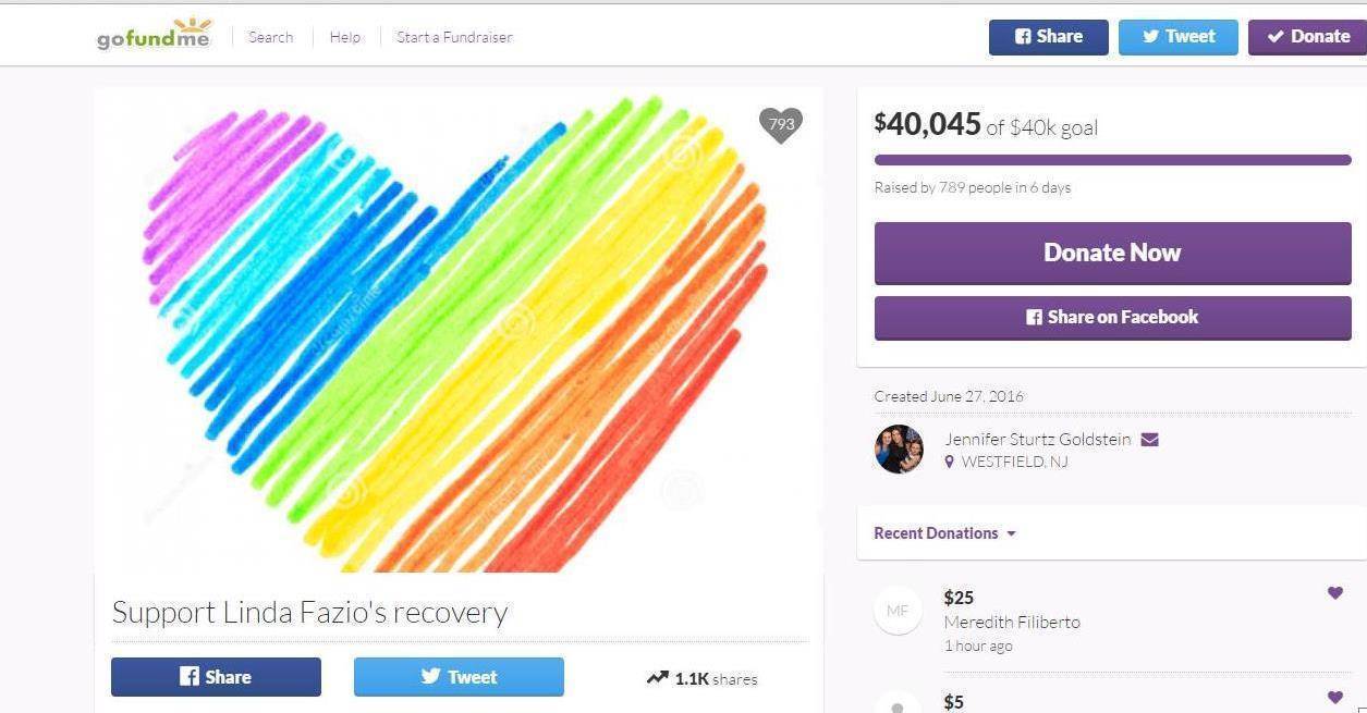 35dbb5e2e76edc13b12c_f5ef797c07ace9c41a4e_gofundme3.jpg