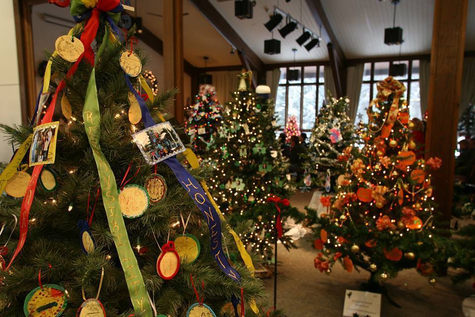 a76a22a32a9f5d90b165_sompixfestivaloftrees.jpg