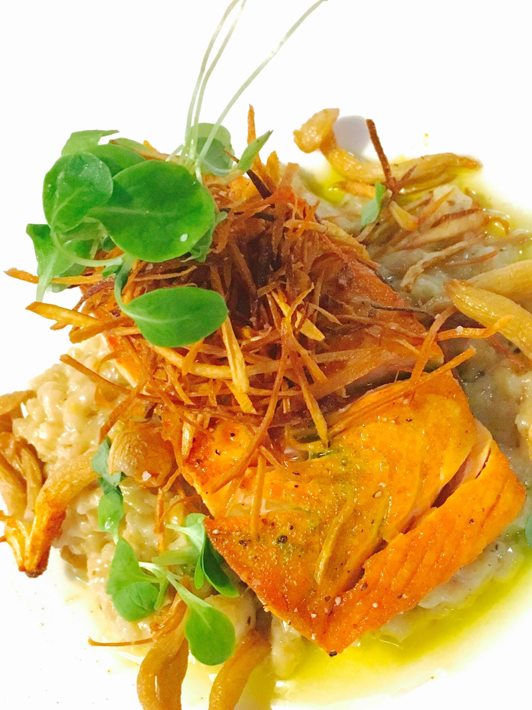 2e349c15d96d0a352e5a_463dc918dbe3a3a4ca5f_Salmon.jpg