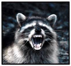 a296322ab0cb991d345e_Rabies.jpg