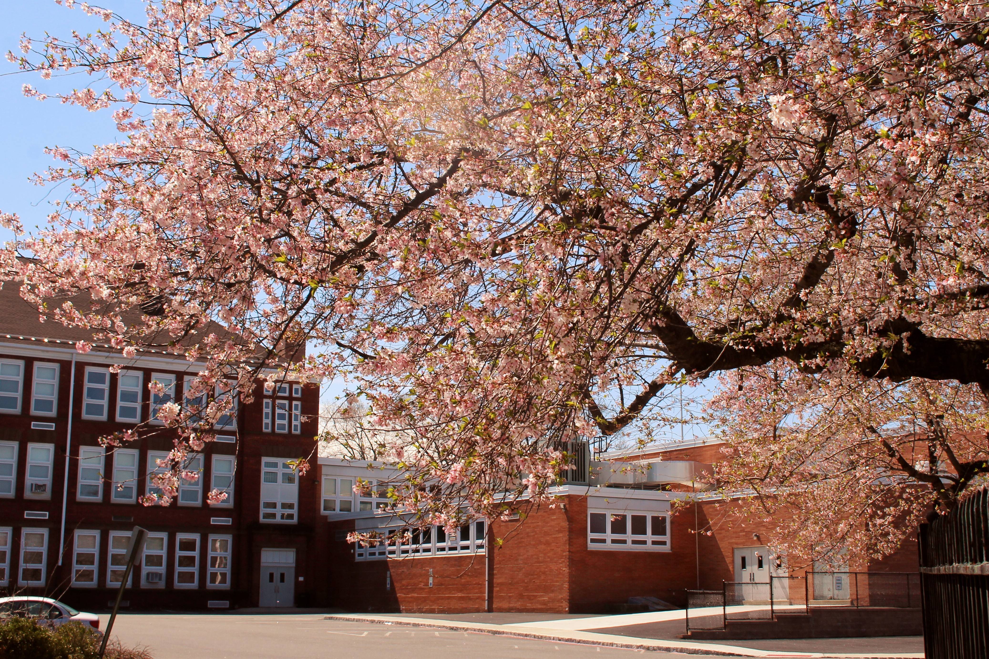012f358de367f1b1082c_High_School_Nutley_April_2017_054.jpg