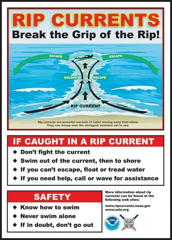 0177a1cbe1fb6ea72510_0057767be8b971a8d8eb_riptides.jpg