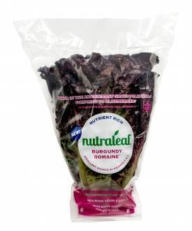 024fda950adddbea1f97_ScarletLettuce.jpg