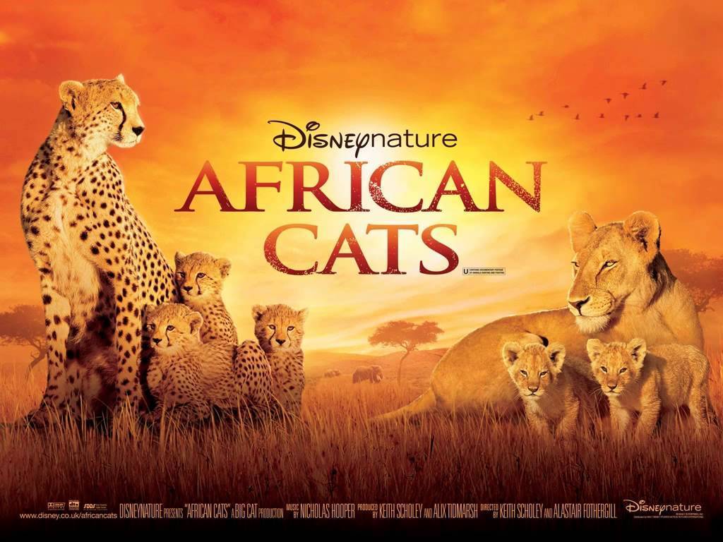 03609ab2353e15265dee_Movie_Disney_Nature_African_Cats.jpg