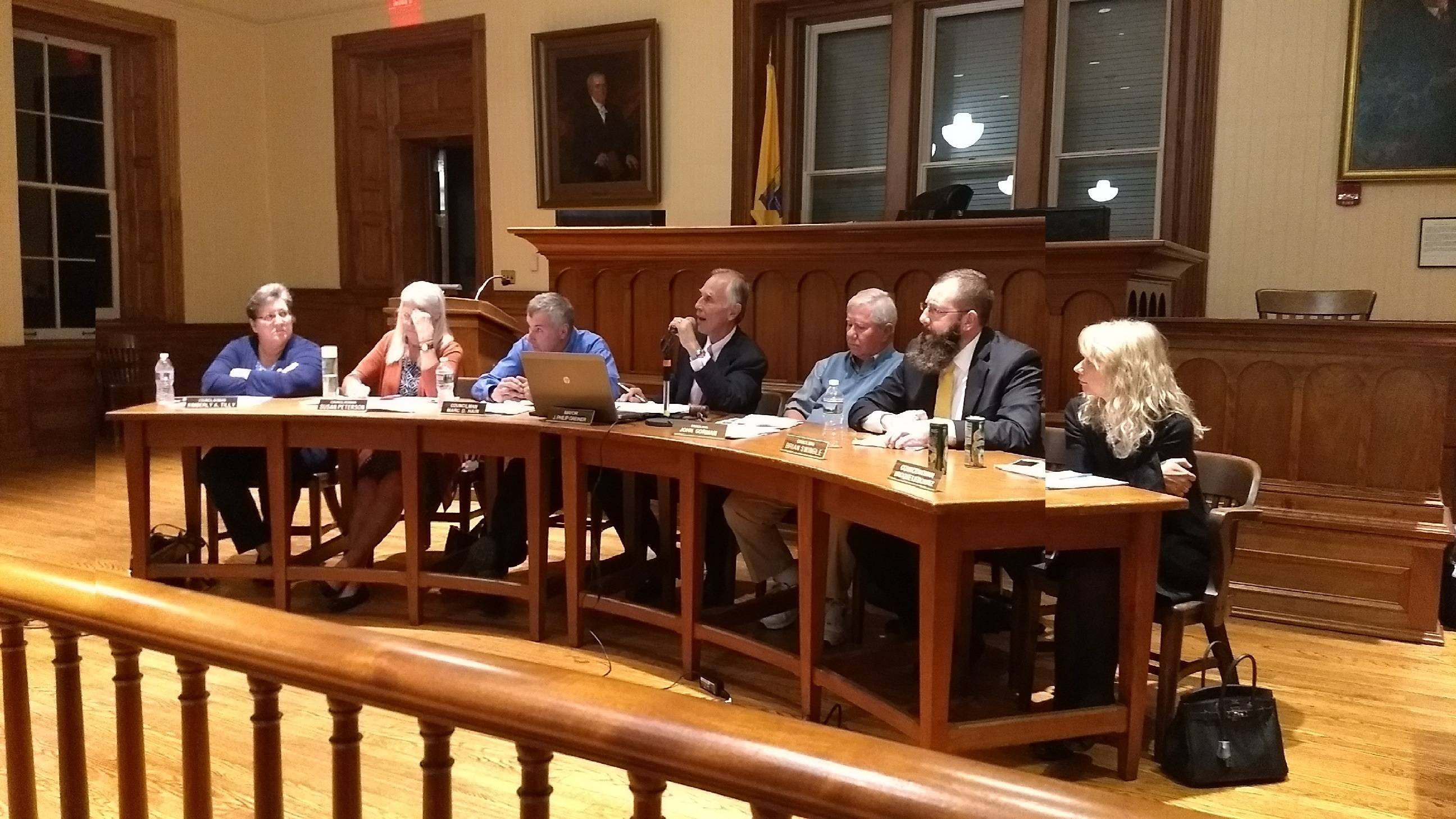 040261878216bfb8d457_flem_boro_council_2017.jpg