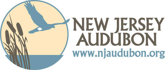 0602e83c06124762ef9f_nj_audubon_logo.jpg