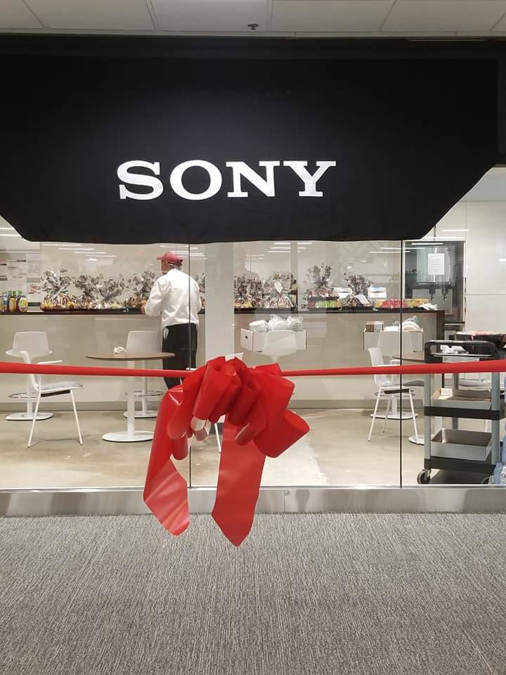 069af540bd1cabab2075_Sony.jpg