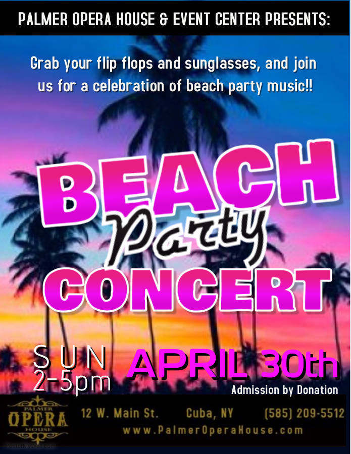 08b009667baba5748bf8_Beach_Party_.jpg