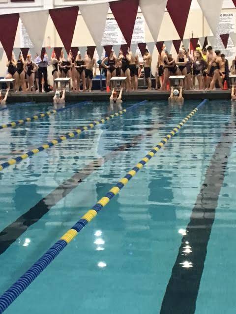 091063e44838b17ee4f3_swim.jpg