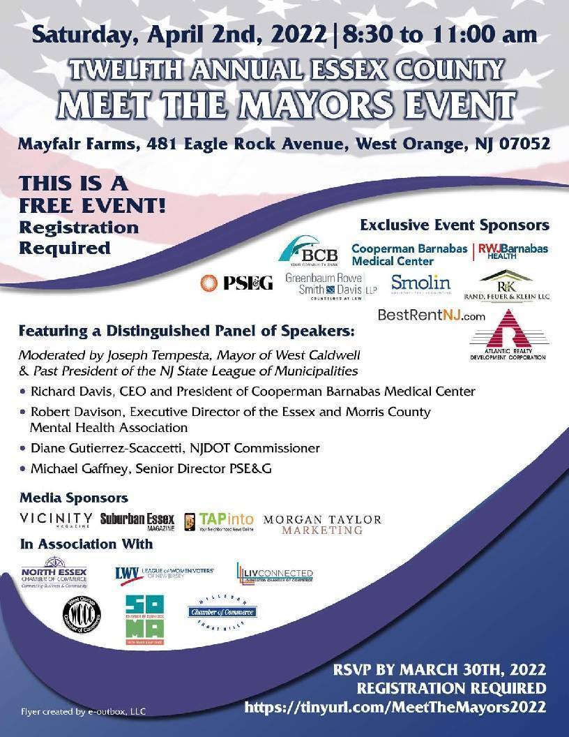 MEET THE MAYORS visual data 2