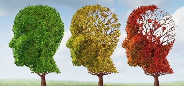 0b29d81aae891ab1791e_Alzheimers.jpg
