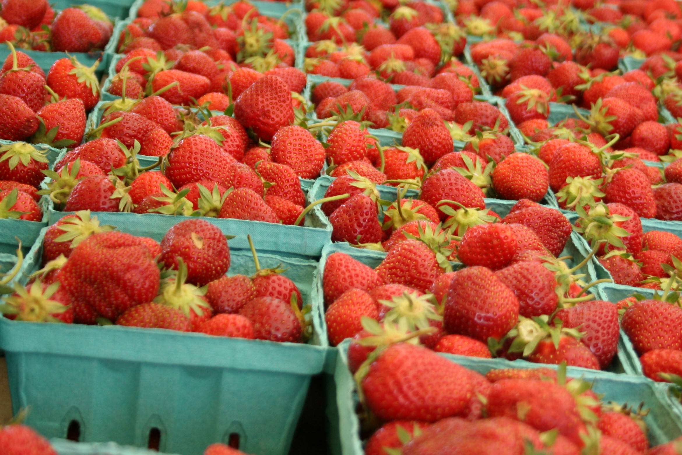 0b9296a14abf73fd5b03_Farmers_Market_087.jpg